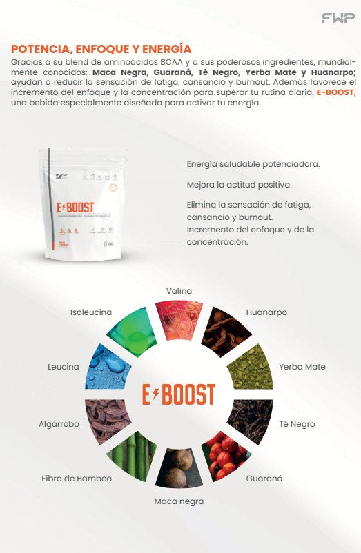 E-BOOST –VIGORIZANTE NATURAL